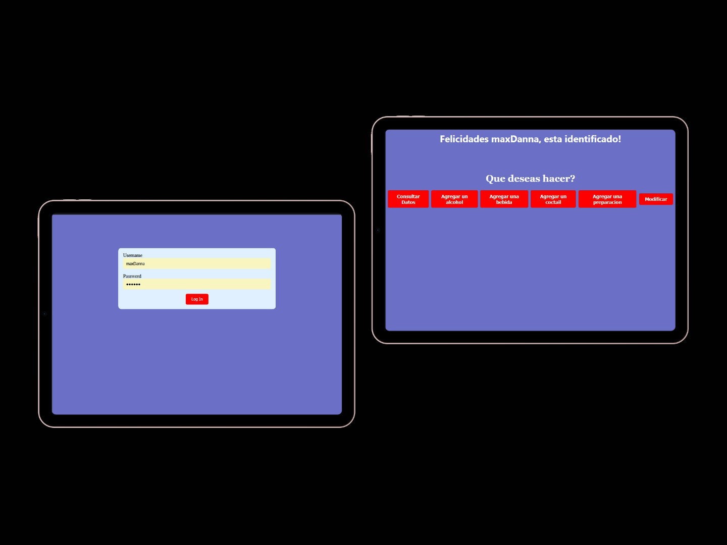 Preview del proyecto App Control de Stock